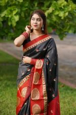 Soft silk katan Sharee 22359 - Image 4